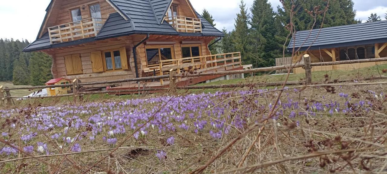 Gosciniec Dziubasowki Villa Nowy Targ Exterior photo
